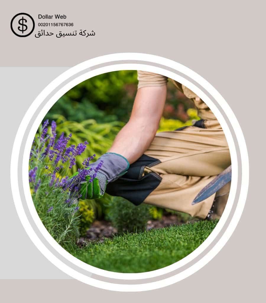 تنسيق حدائق مشرف