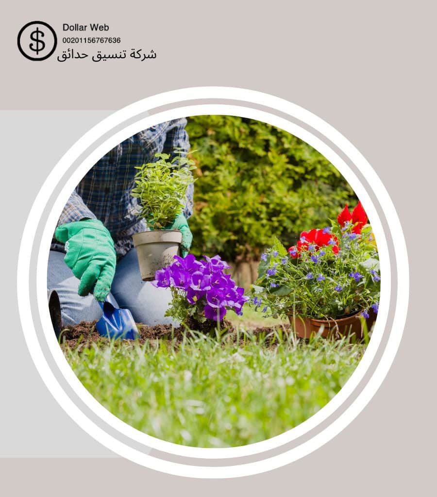 تنسيق حدائق السالمية