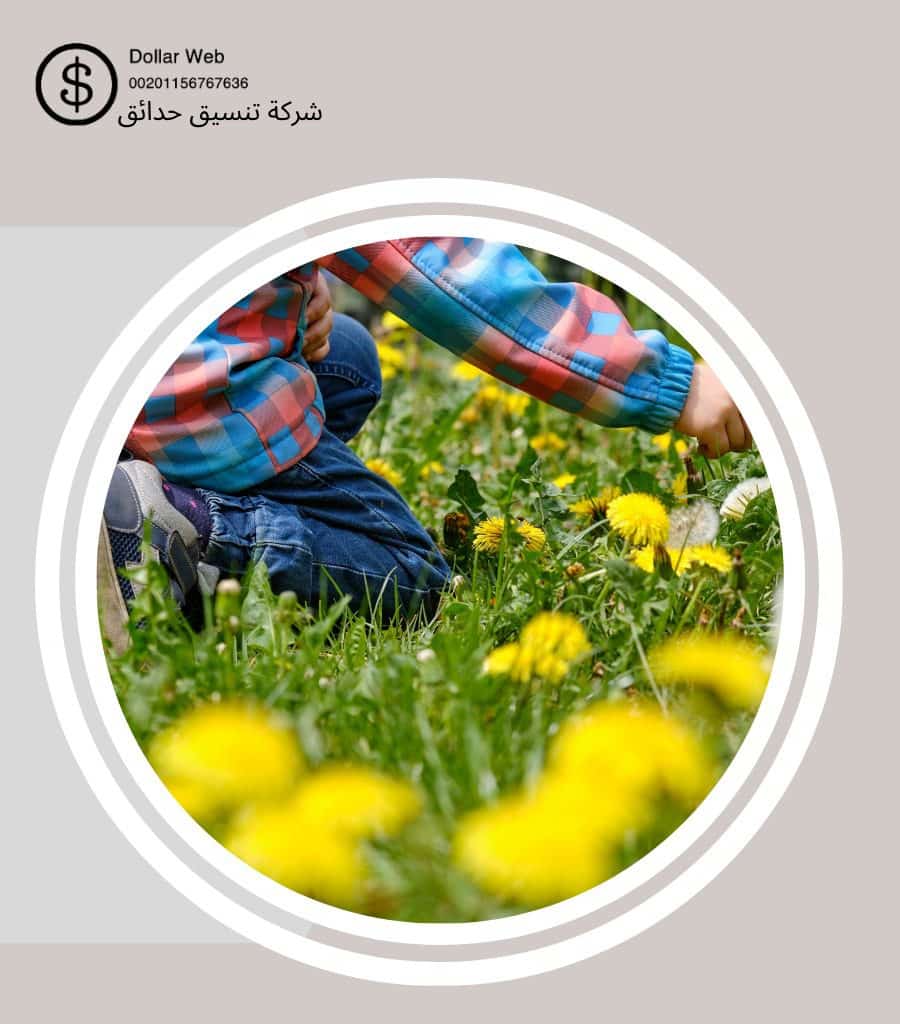 تنسيق حدائق الرميثة