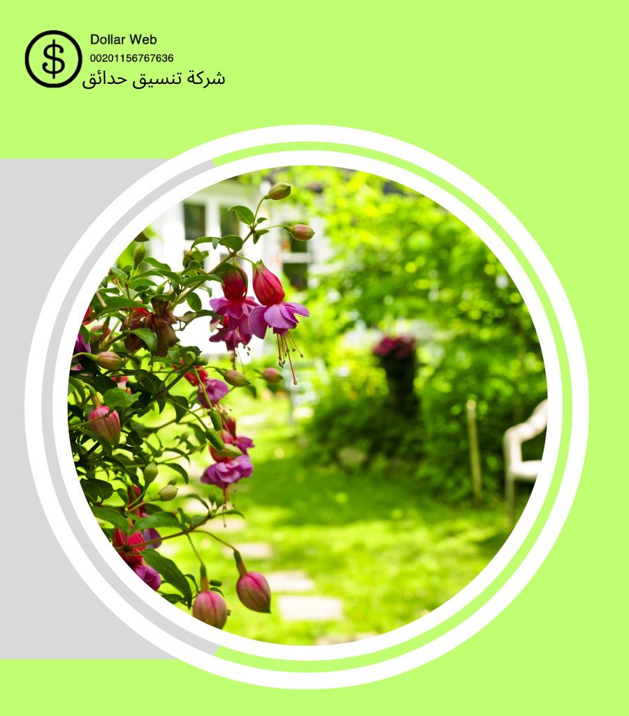 تنسيق حدائق الظهر