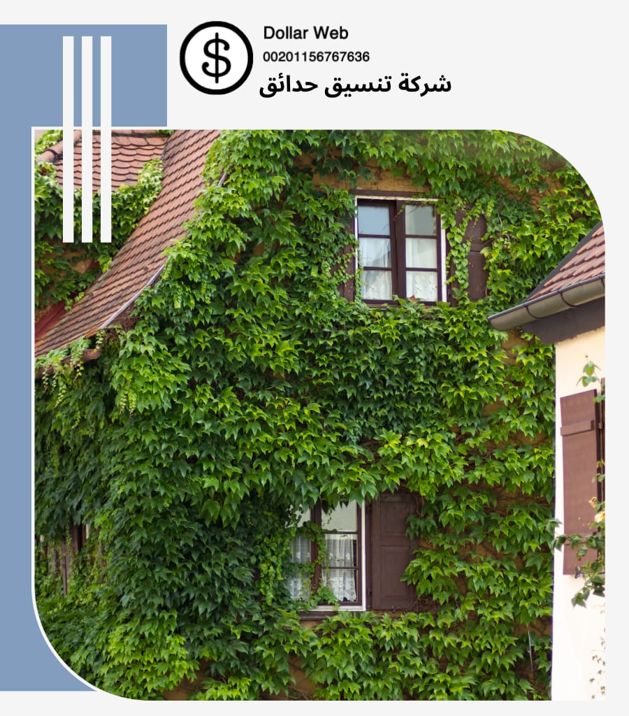 تنسيق حدائق سعدلله