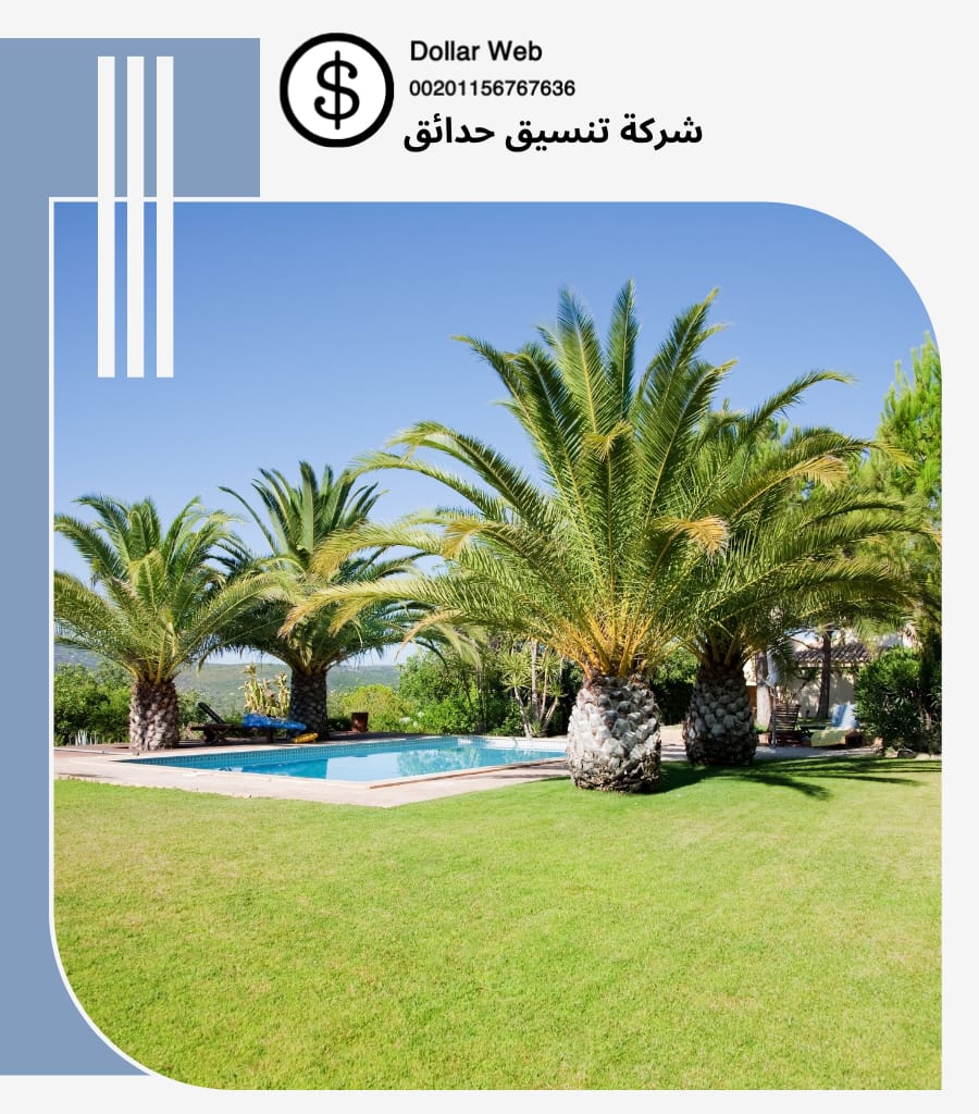 تنسيق حدائق أبرق خيطان